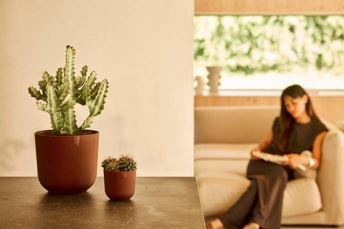 jazz rond 35cm dark burgundy